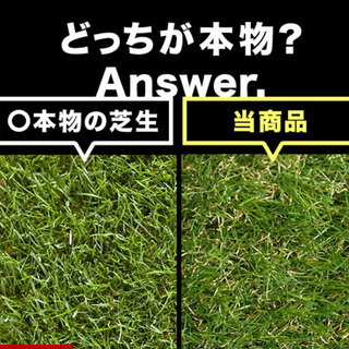 【進行アリ】まるで芝生! リアル人工芝ナチュラルの画像