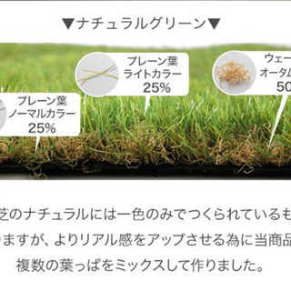 【進行アリ】まるで芝生! リアル人工芝ナチュラルの画像