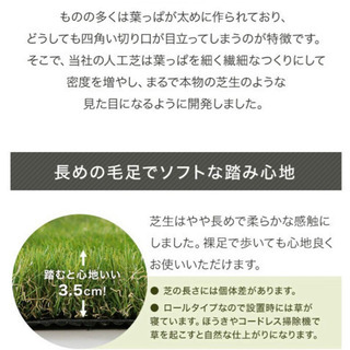 【進行アリ】まるで芝生! リアル人工芝ナチュラルの画像