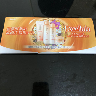 おまけ付き⭐︎佐藤製薬エクセルーラスペシャル体感セット