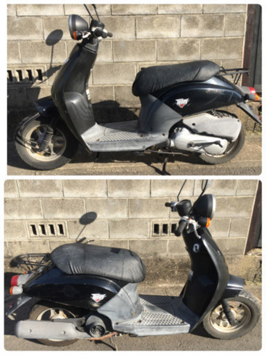 ホンダ　トゥデイ　原付　50cc