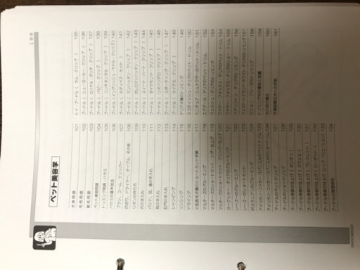 トリマー　DVD