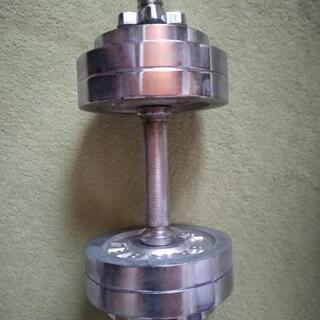 ダンベル14.5kg　15kgかもしれません？