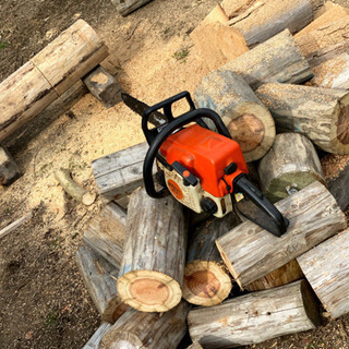 キャンプ　薪ストーブ　スエーデントーチ　原木　にどうですか？の画像