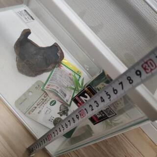 新品未使用 三千円で購入した。の画像