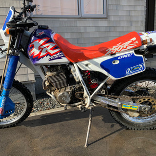 xlr250  MD20
