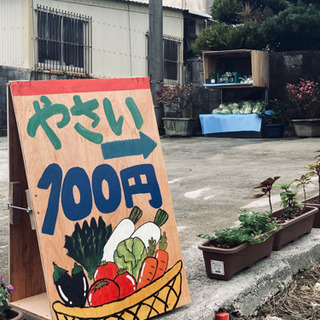 やさい無人販売オープン‼︎