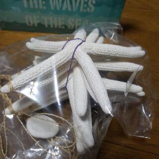 アロハな ハワイアン インテリア たちの画像