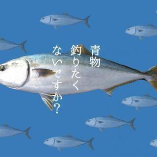 青物 大社 ジギング 乗り合い メンバー募集 ブリ ヒラマサ タイ