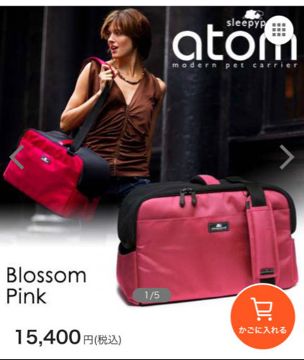 新品未使用 キャリーバッグ