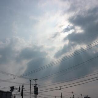 今日あなたに付いて行ってもいいですか？