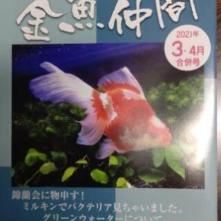 フリーペーパー金魚仲間３/４月号入荷（2021/03/12）