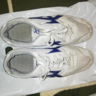 体育館用シューズの画像