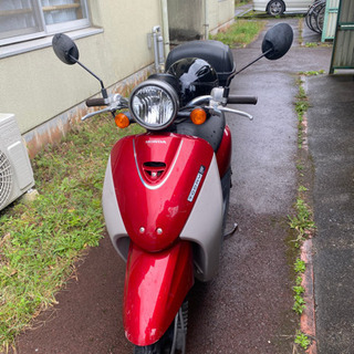 Honda Todayの画像