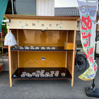 上板めだか