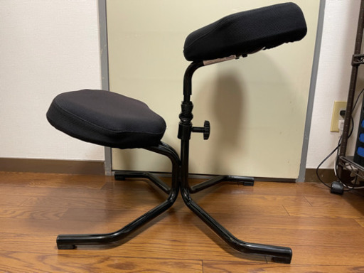 バランスチェア balans 5064 バランススタディ