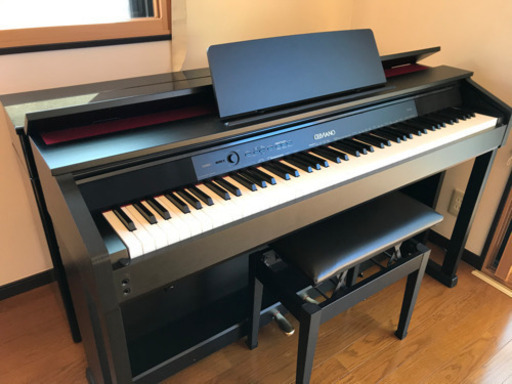 カシオ　AP-460BK セルビアーノ