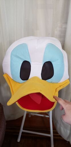 ディズニー好きな人