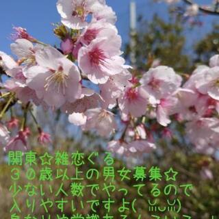 募集( ╹▽╹ )☆