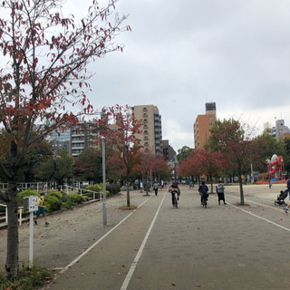 【3/20(土)11時〜@錦糸公園】ふらっと立ち寄り花見🌸 − 東京都