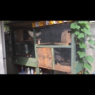 庭のニワトリ小屋の移動