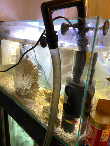 60センチ海水魚水槽一式　