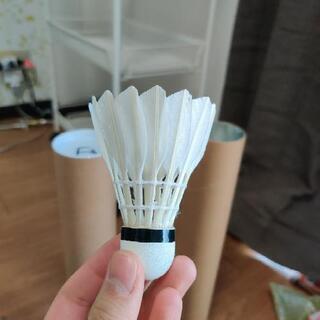 バトミントンシャトル二本 24個セット練習用の画像