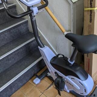 🌟ラインのお友達追加で3%off🌟アルインコ エアロバイク アル...