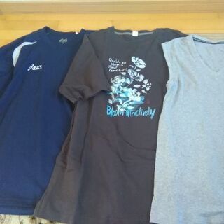 中古　シャツ、Tシャツセットの画像