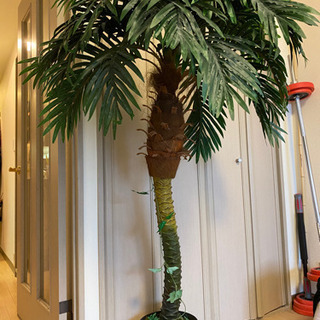造花　観葉植物　ヤシの木　南国
