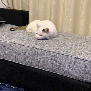 里親募集 − 広島県