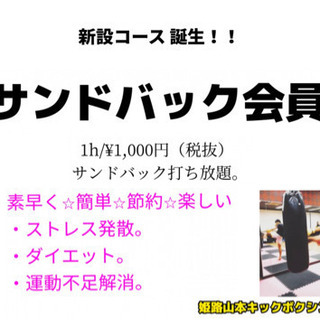 サンドバック打ち放題！！