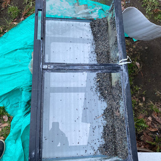 受け渡し決定90cmらんちゅう水槽GEX上部フィルターセットの画像