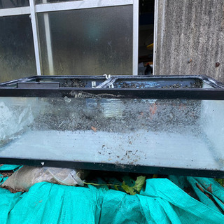 受け渡し決定90cmらんちゅう水槽GEX上部フィルターセットの画像