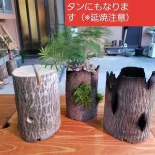 【広葉樹】スウェーデントーチ【①】ロケットストーブタイプの画像