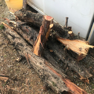 伐採した木　キャンプの薪に使いませんか？の画像
