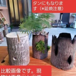 【終了】【広葉樹】スウェーデントーチ【②】ロケットストーブタイプの画像