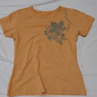 Sサイズレディース半袖Tシャツの画像