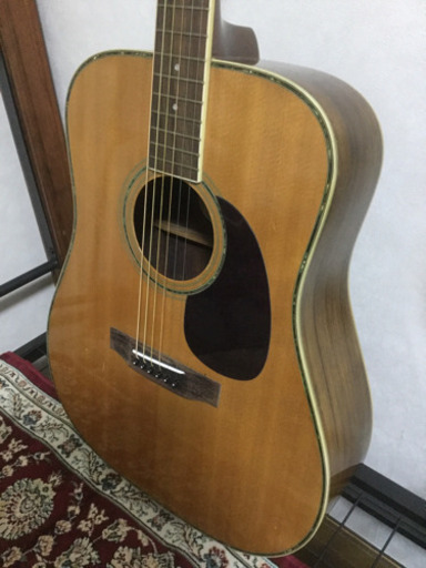 Morris モーリス アコースティックギター W-35 縦ロゴ