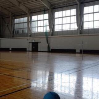 【参加者募集中！】ソフトバレーボール🏐 彦根市～近江八幡市近郊で活動 (土曜日 13:00～15:00) - 愛知郡