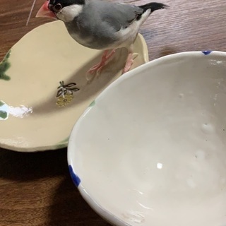 スカイツリー周辺 陶芸仲間 - 墨田区
