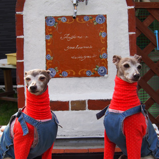 ドッグランCaffeの画像