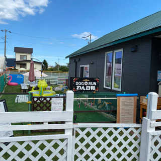 ドッグランCaffeの画像