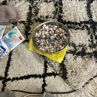水槽の石？