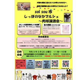 しっぽのなかマルシェー肉球譲渡会ー