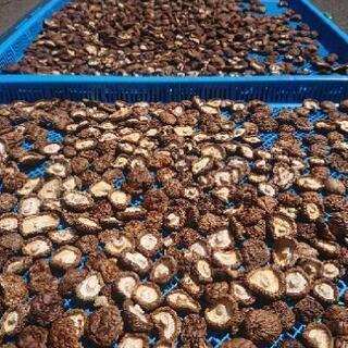 はねだし椎茸や乾燥椎茸売りますの画像