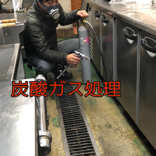 ゴキブリでお困りならお任せ下さい！ - その他