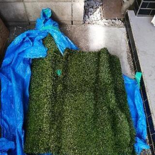 人工芝　未使用　付属品付の画像