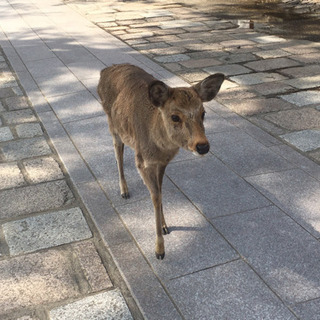 女性のお友達募集です！