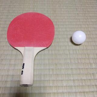 卓球ラケット　球　セット
